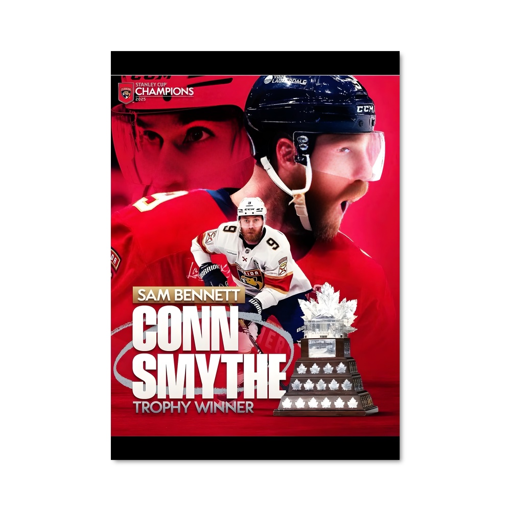 Poster La Victoire des Stanleys